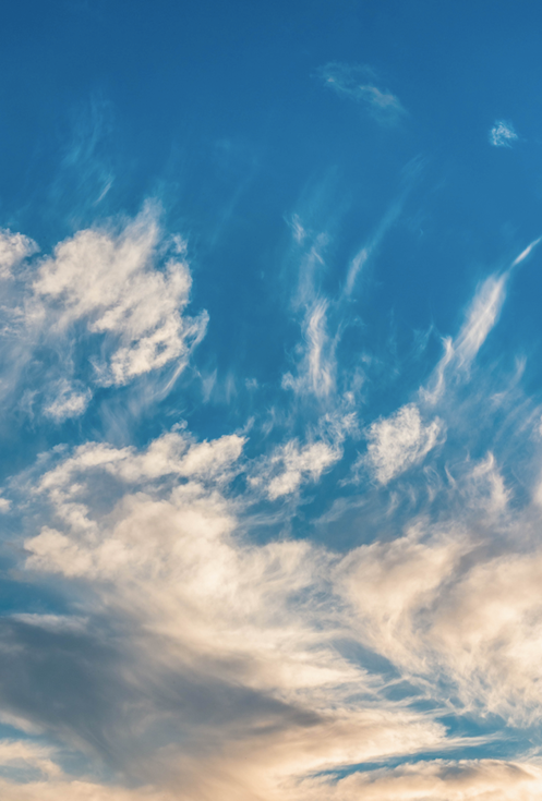 ¿Cuánta energía consume un purificador de aire?