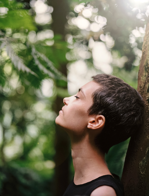 Extractor o purificador ¿Cuál es mejor? Comparativa