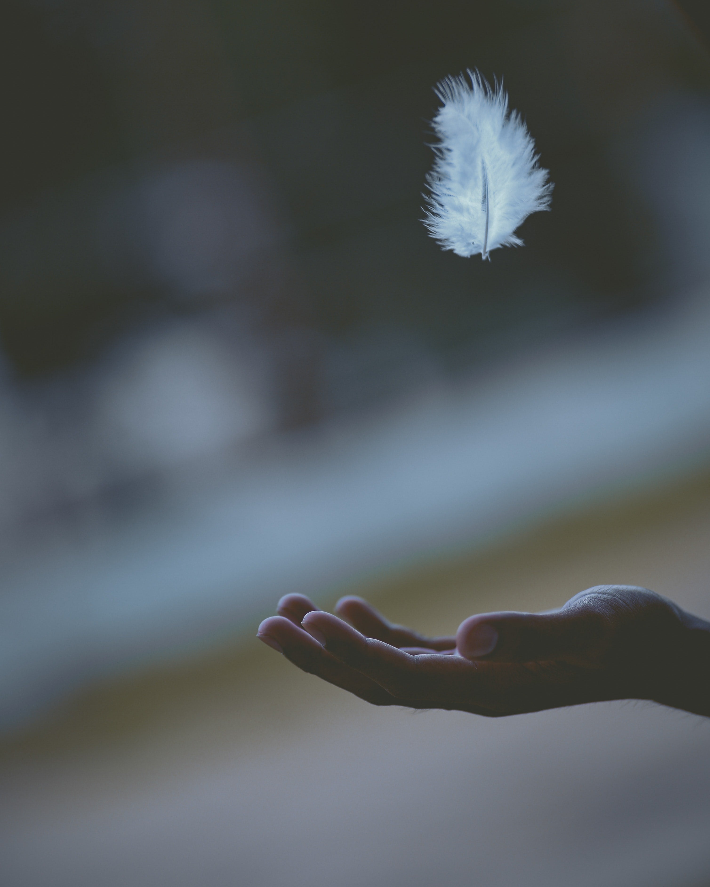 Lavar el edredón de plumas o plumón en la lavadora