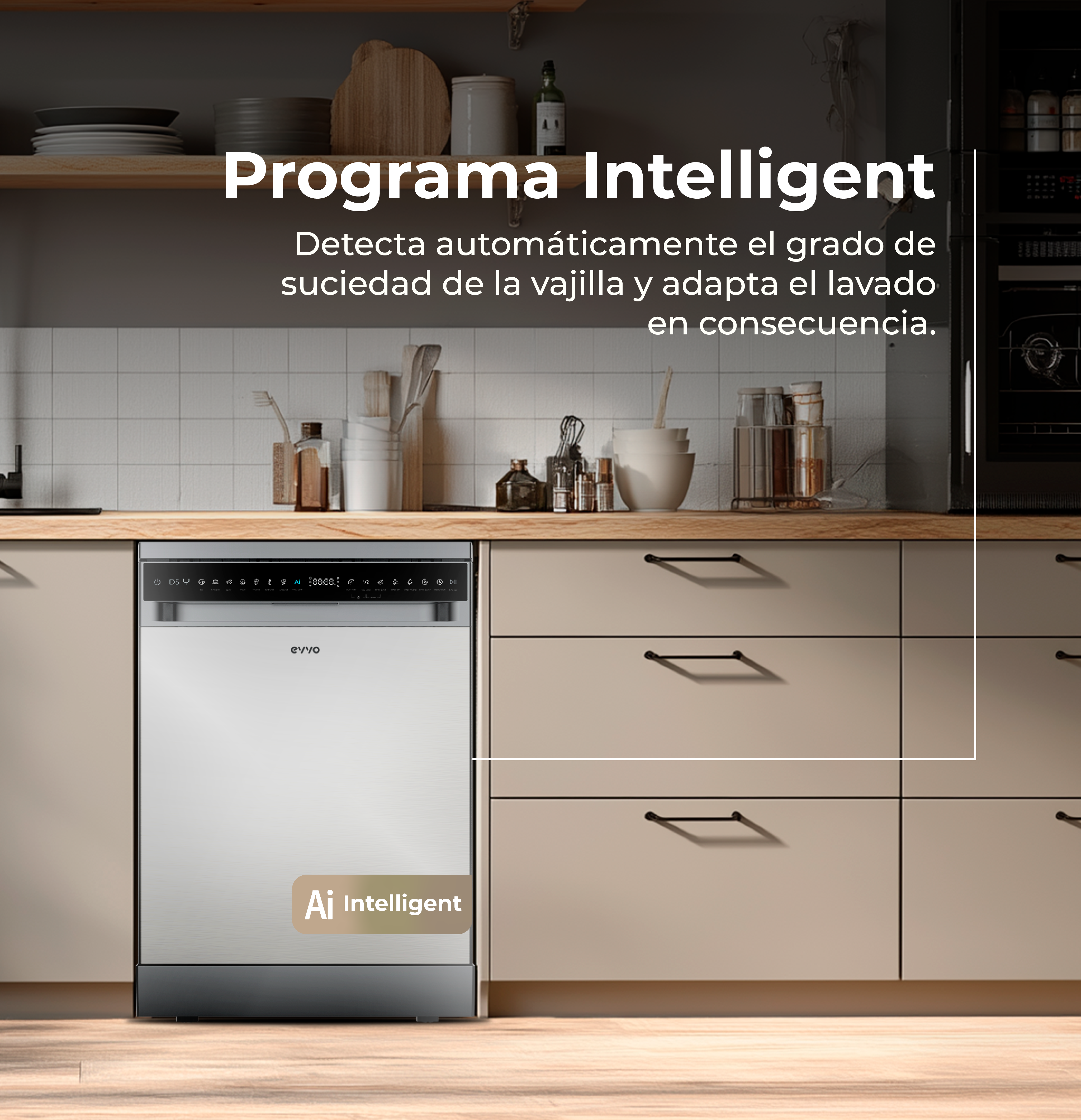 Lavavajillas EVVO D5Y