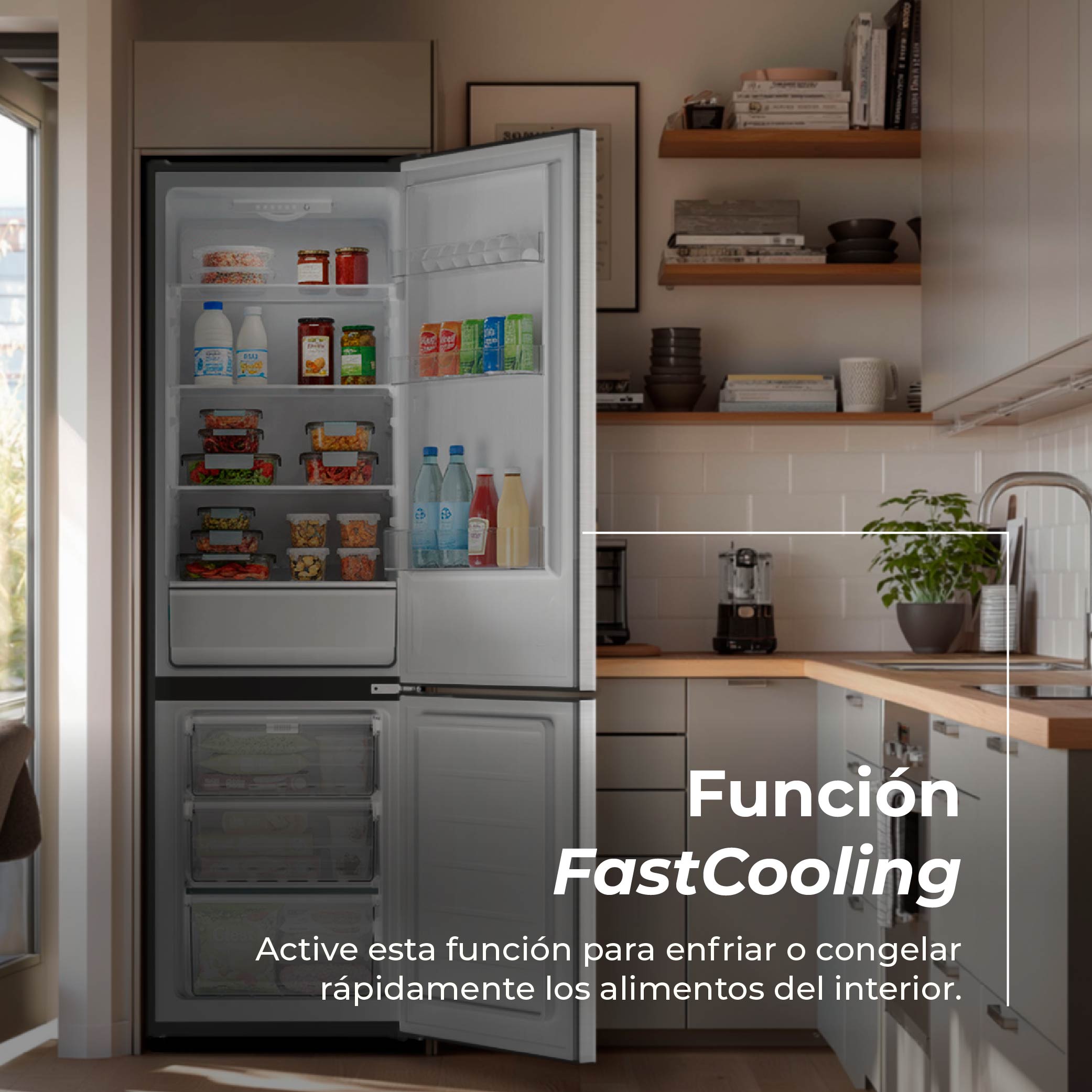 Frigorífico Combi EVVO F51