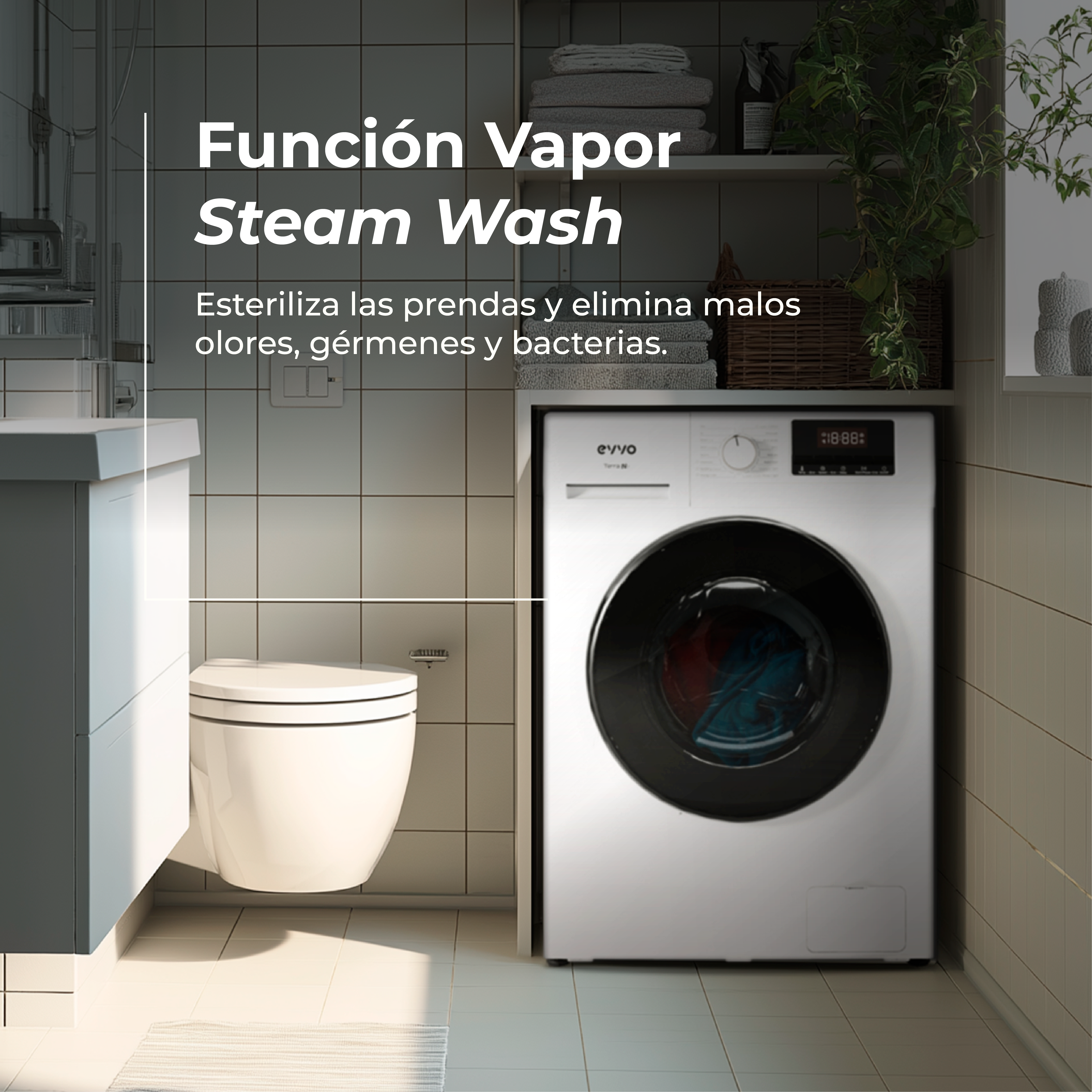 Lavadora EVVO Terra N