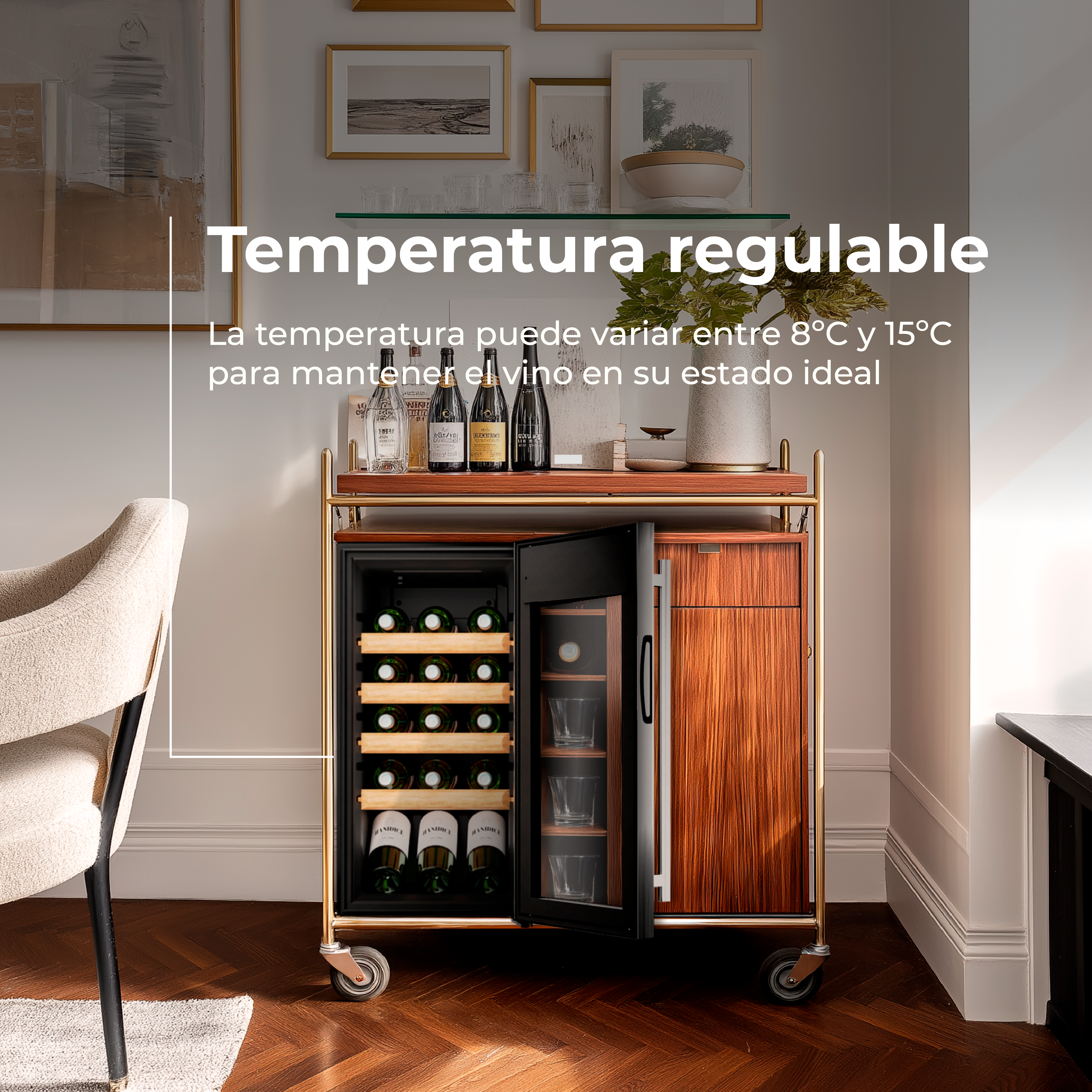 Vinoteca EVVO VT15 Compressor