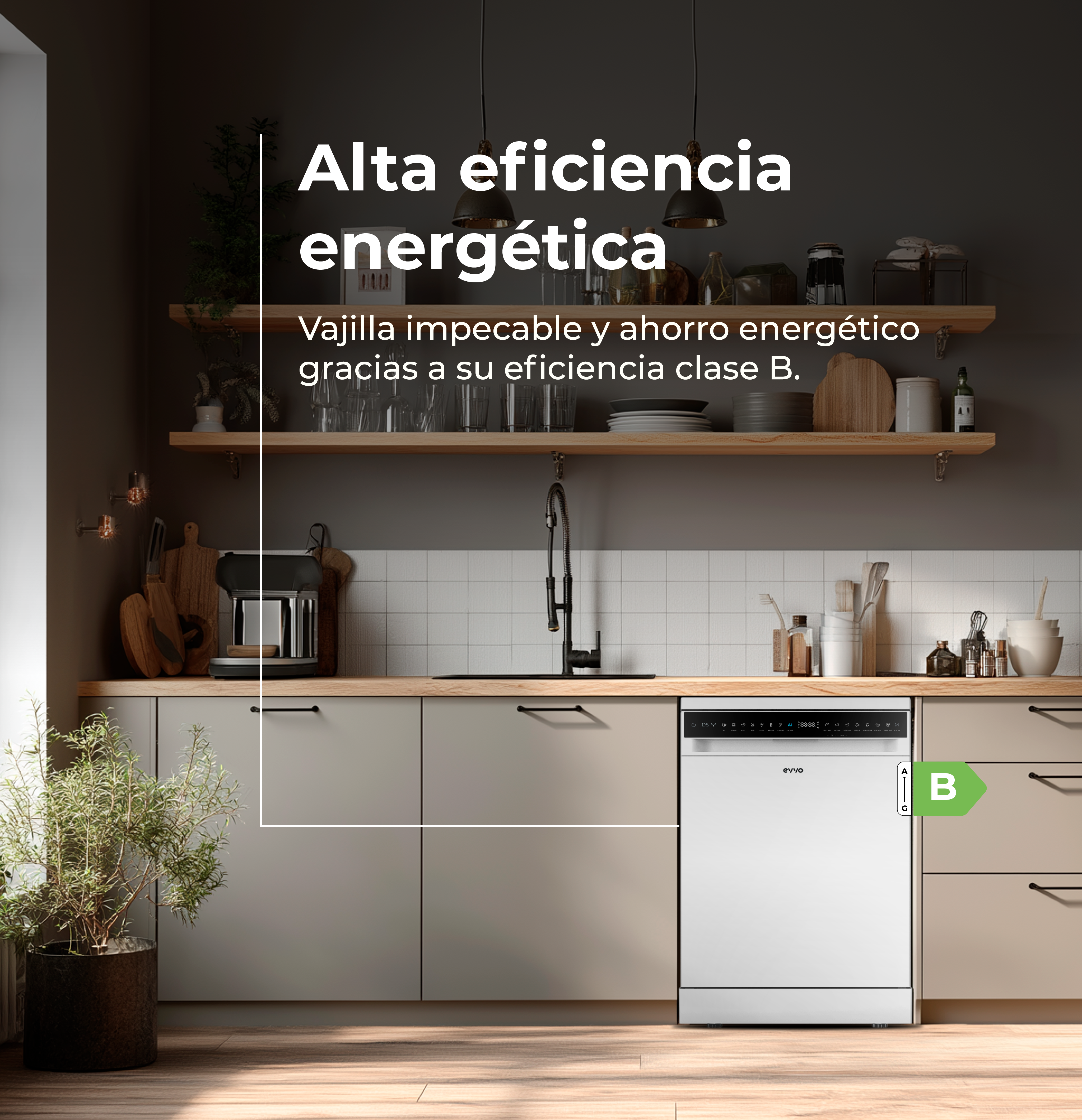 Lavavajillas EVVO D5Y