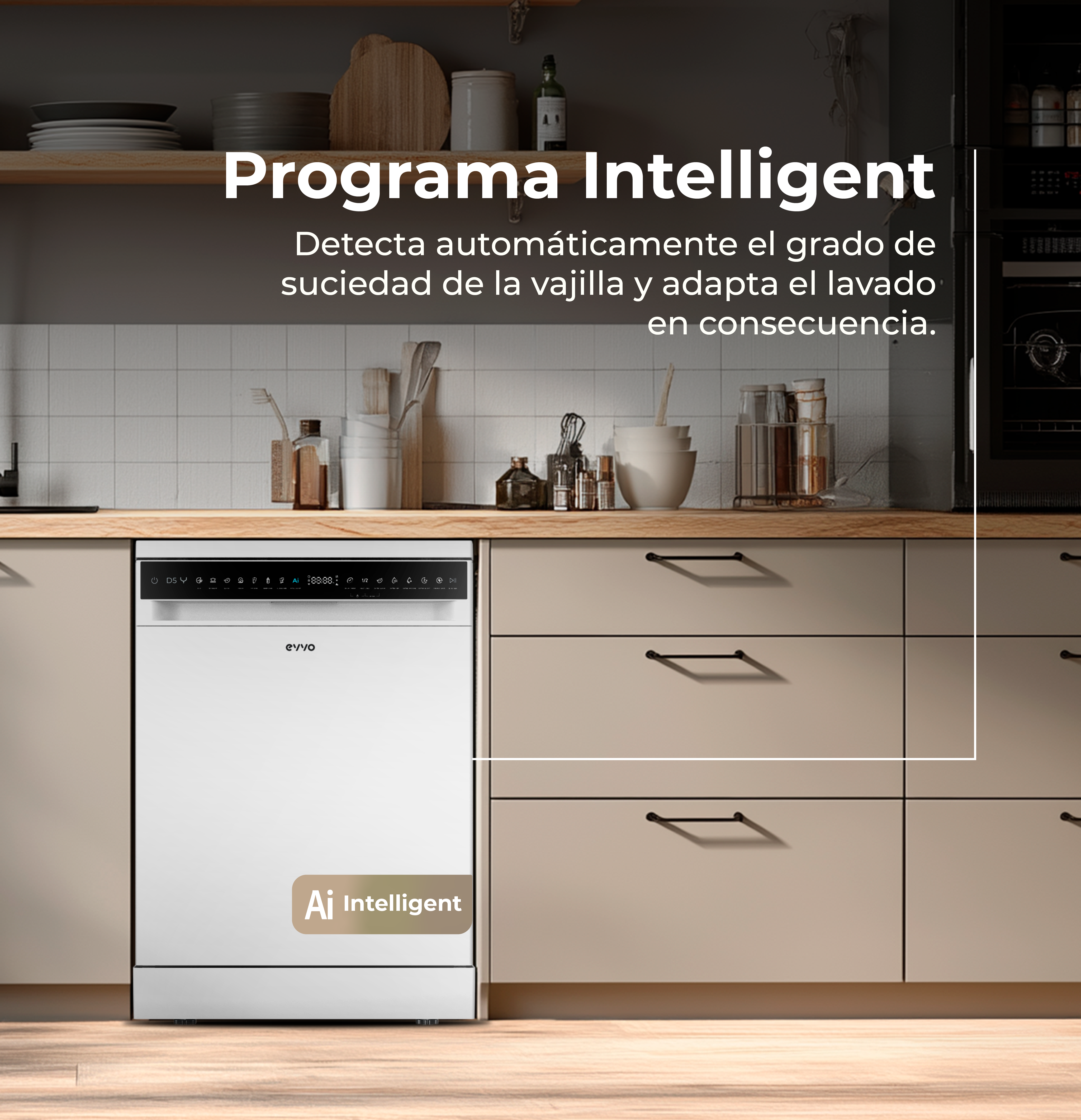 Lavavajillas EVVO D5Y