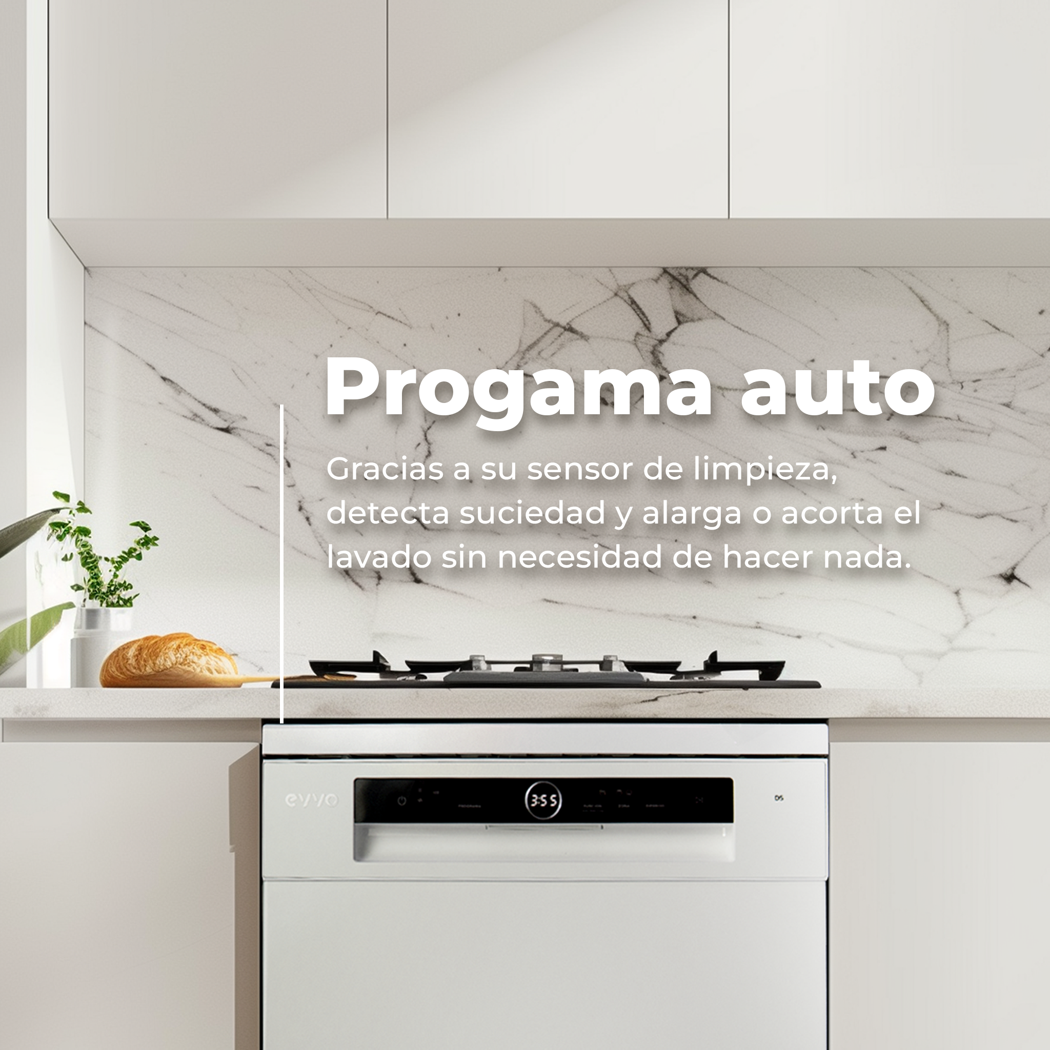 LAVAVAJILLAS EVVO D5