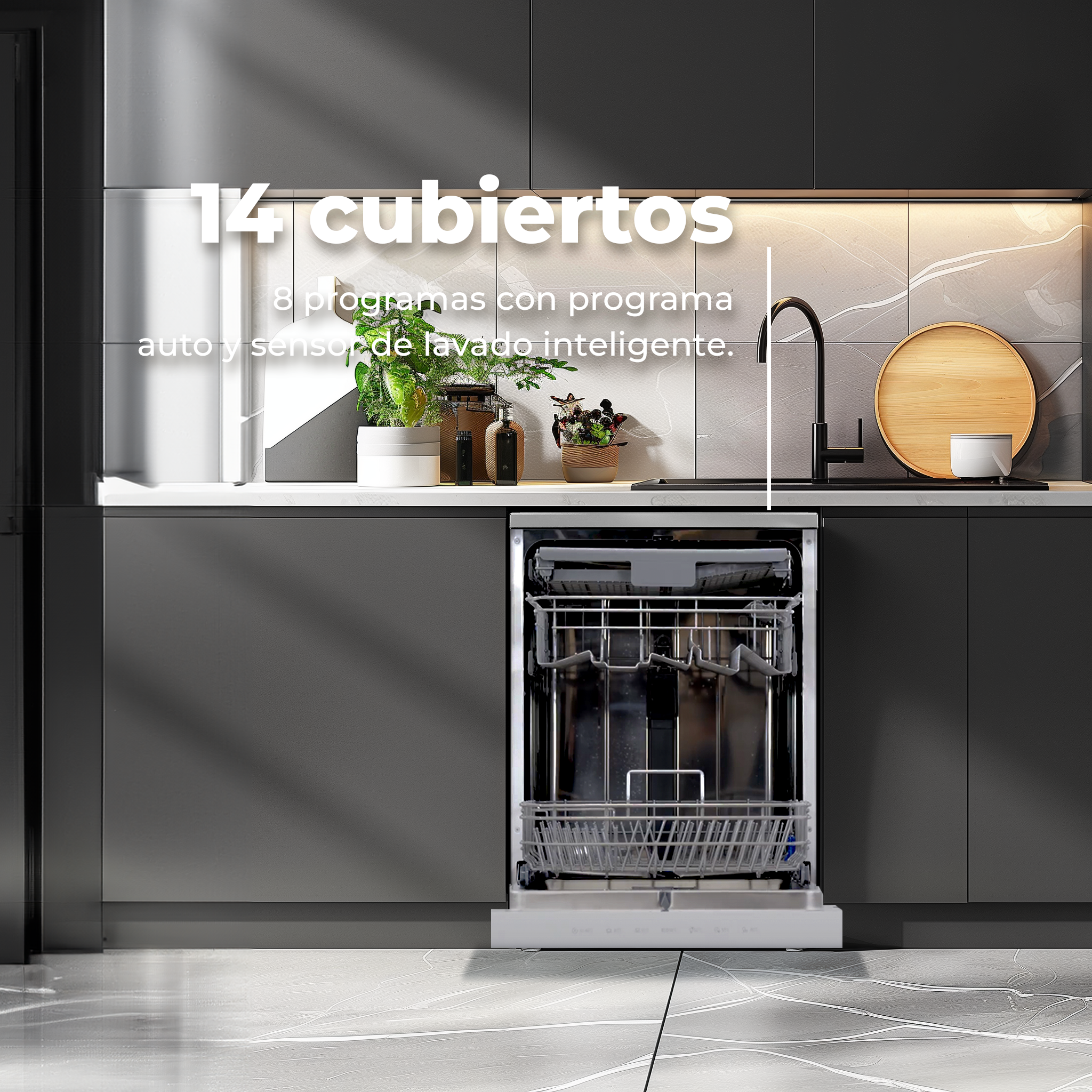 LAVAVAJILLAS EVVO D3