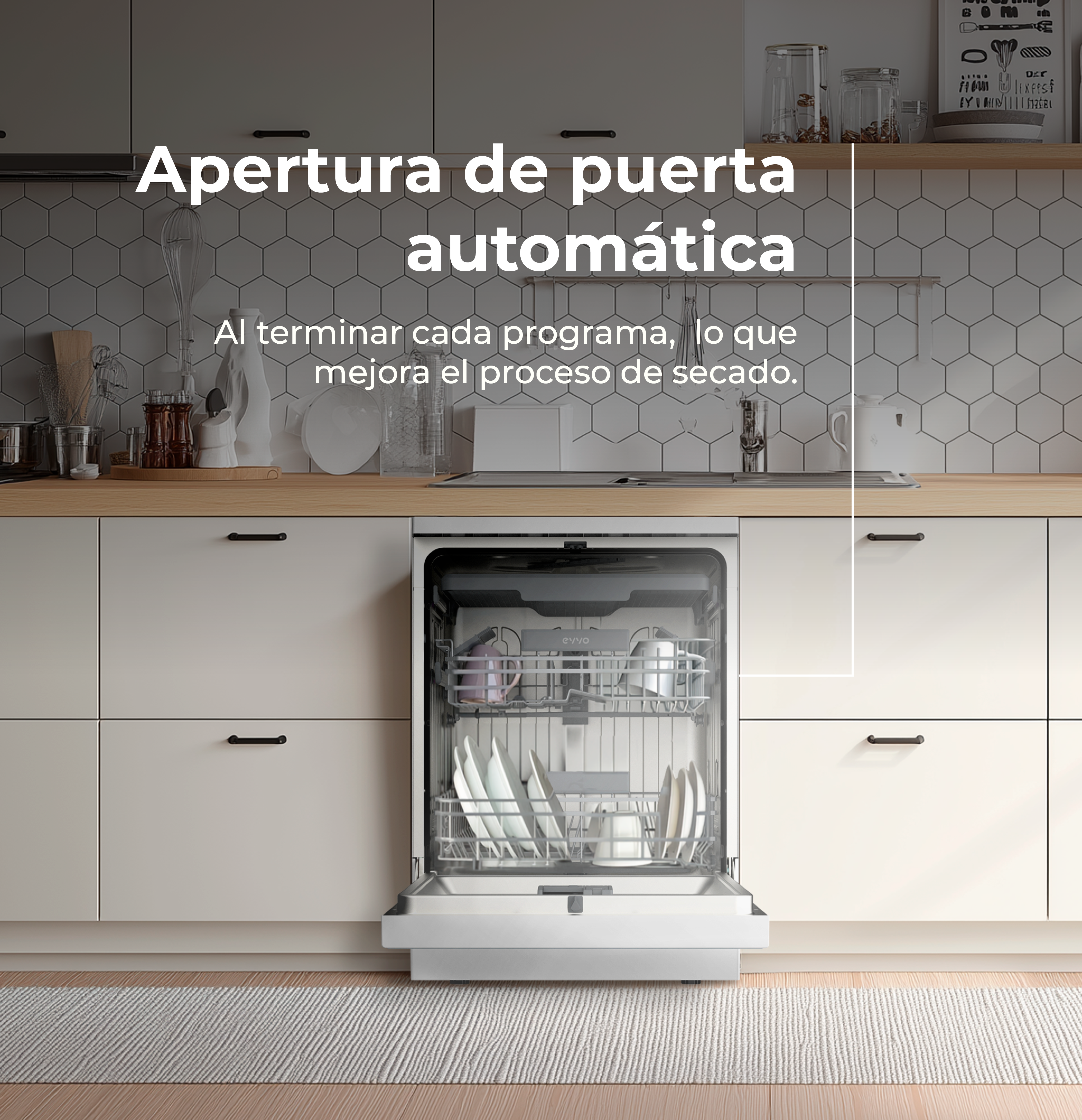 Lavavajillas EVVO D4Y