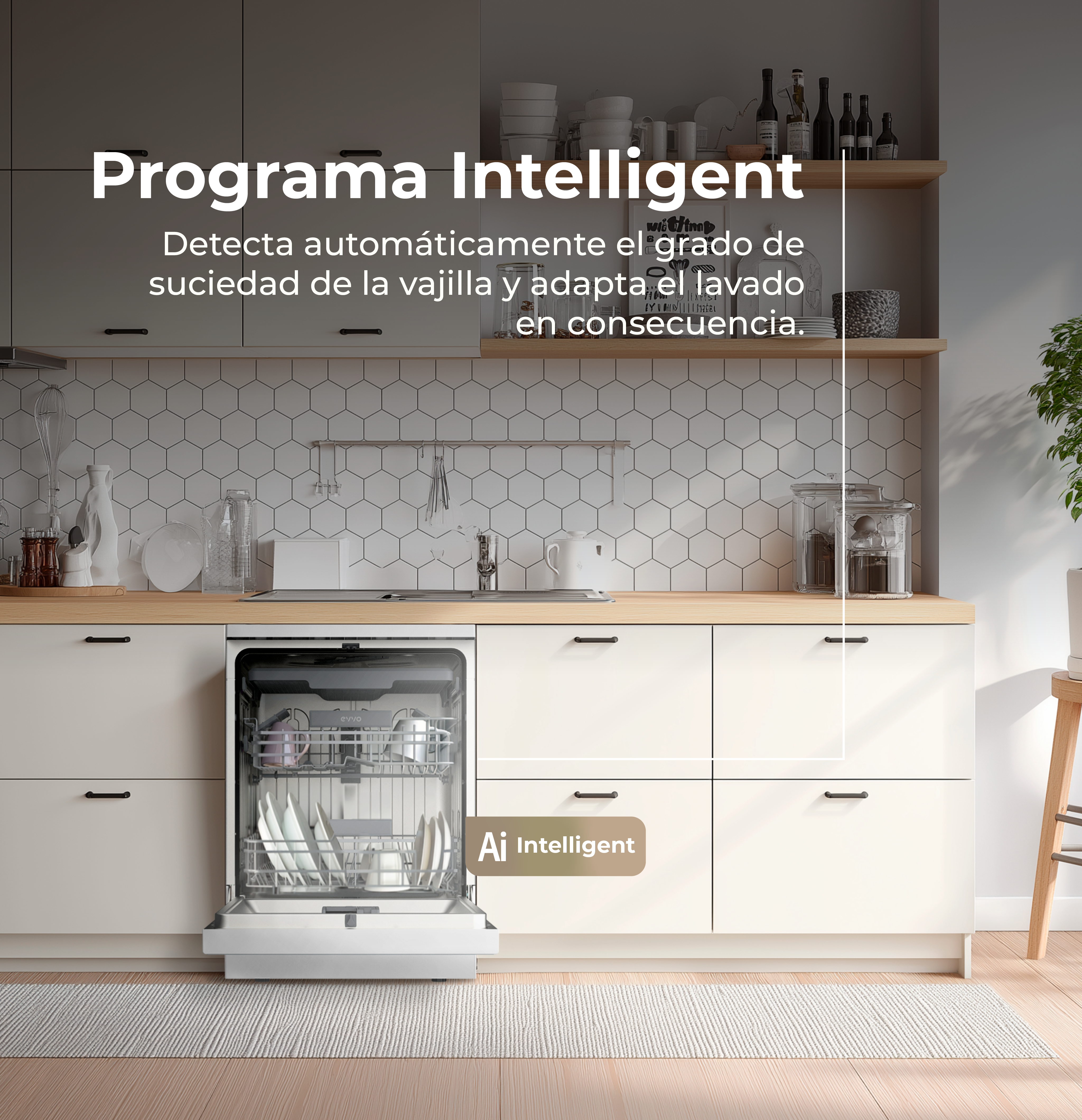 Lavavajillas EVVO D4Y