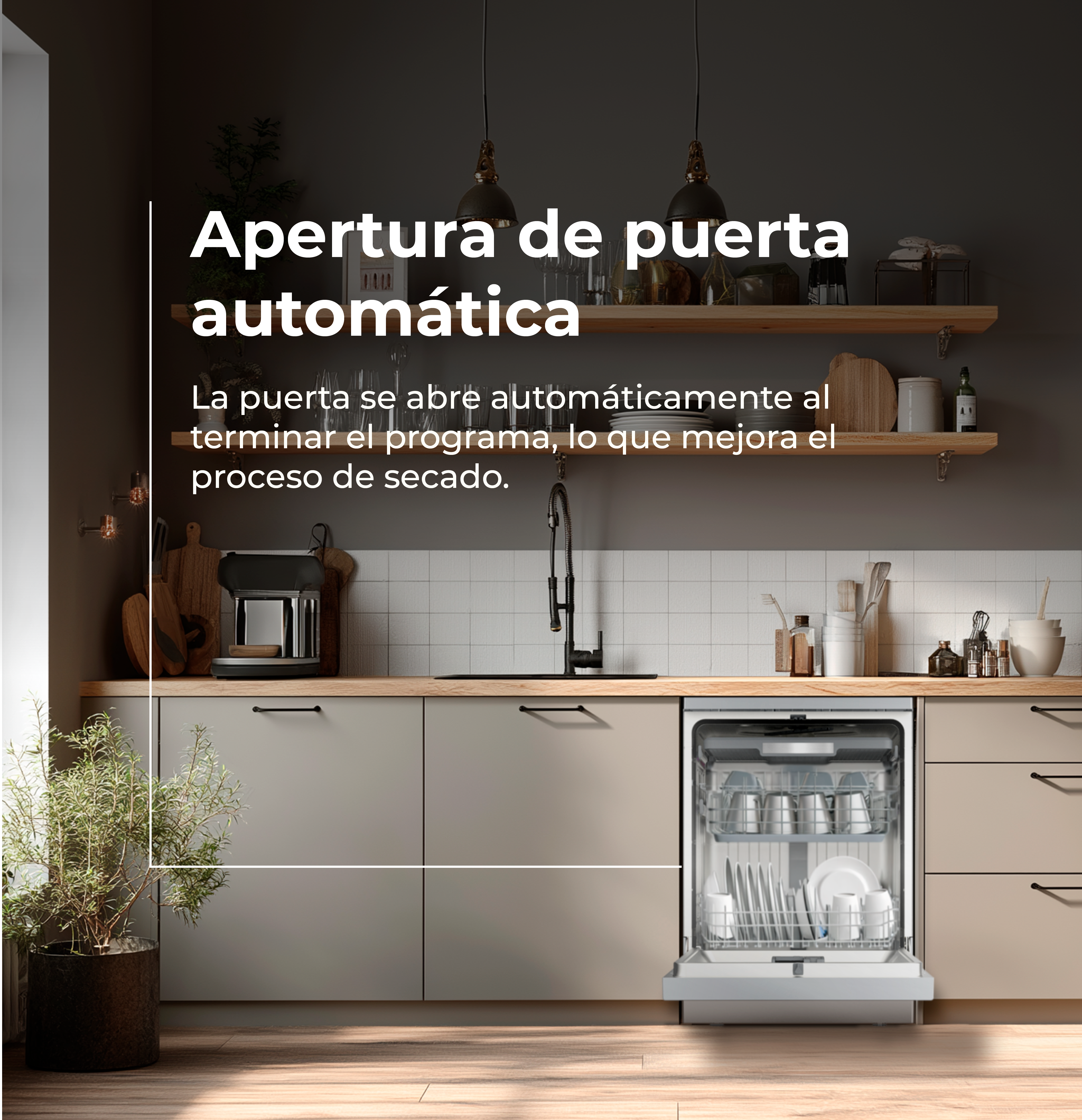 Lavavajillas EVVO D5Y