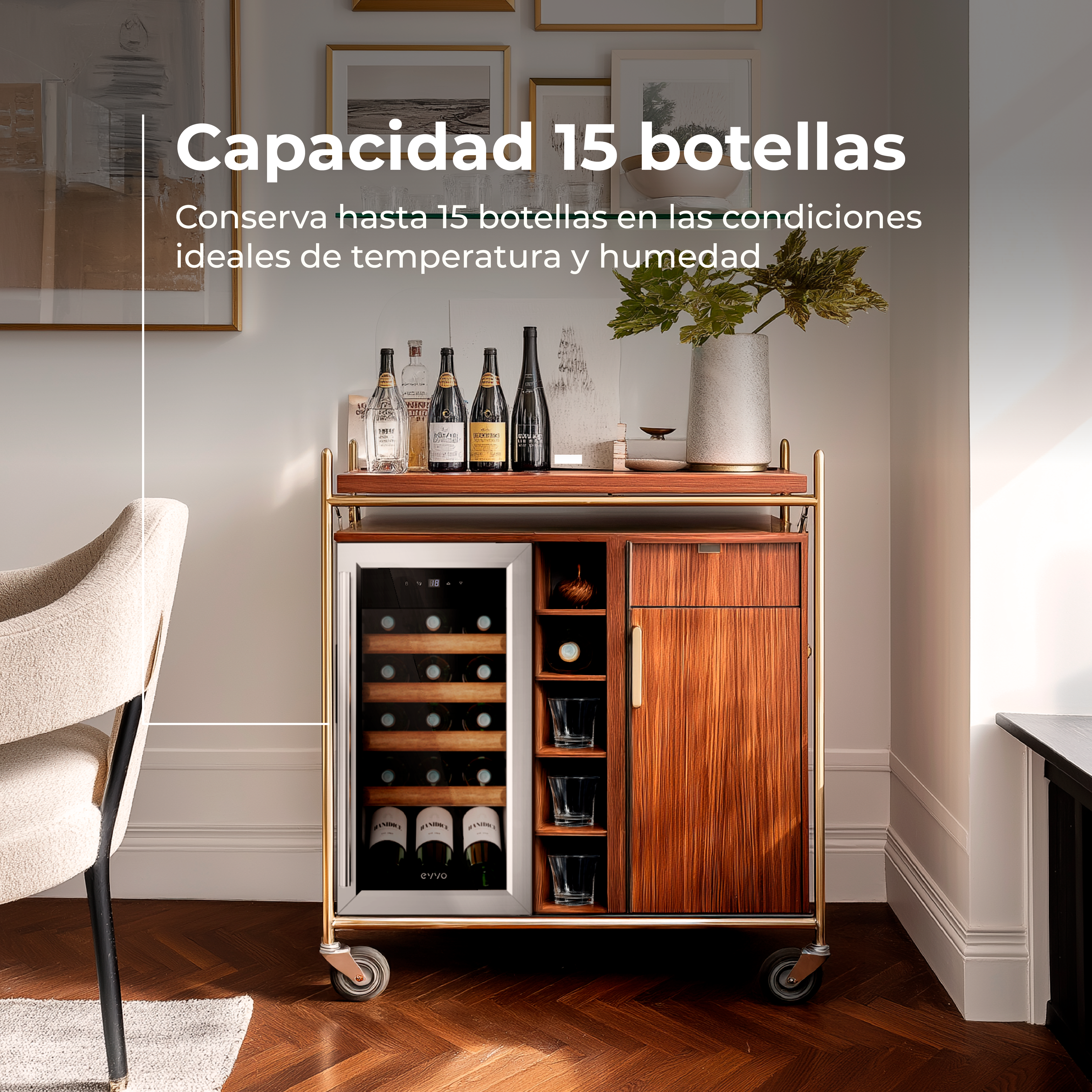 Vinoteca EVVO VT15 Compressor