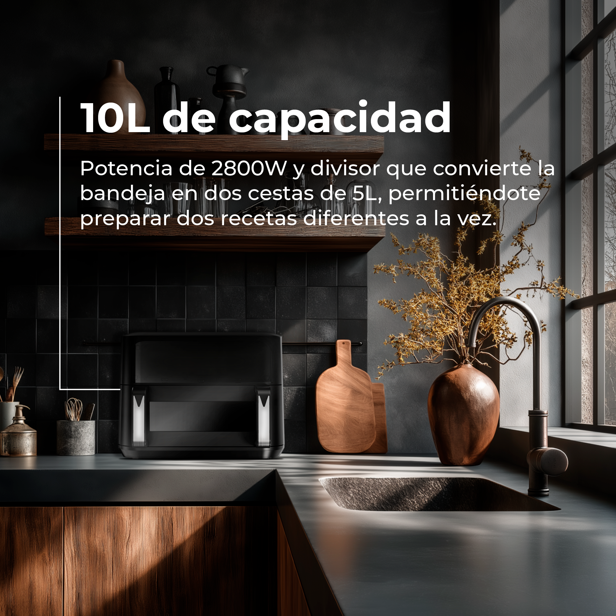 Freidora sin aceite EVVO Tasty Fryer Advance DUO 10L