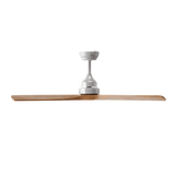 Ventilador de techo EVVO V517